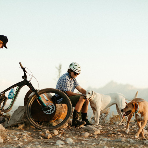 A mountain biker, a mother hiking with her baby, and their dogs enjoy a day outside.
