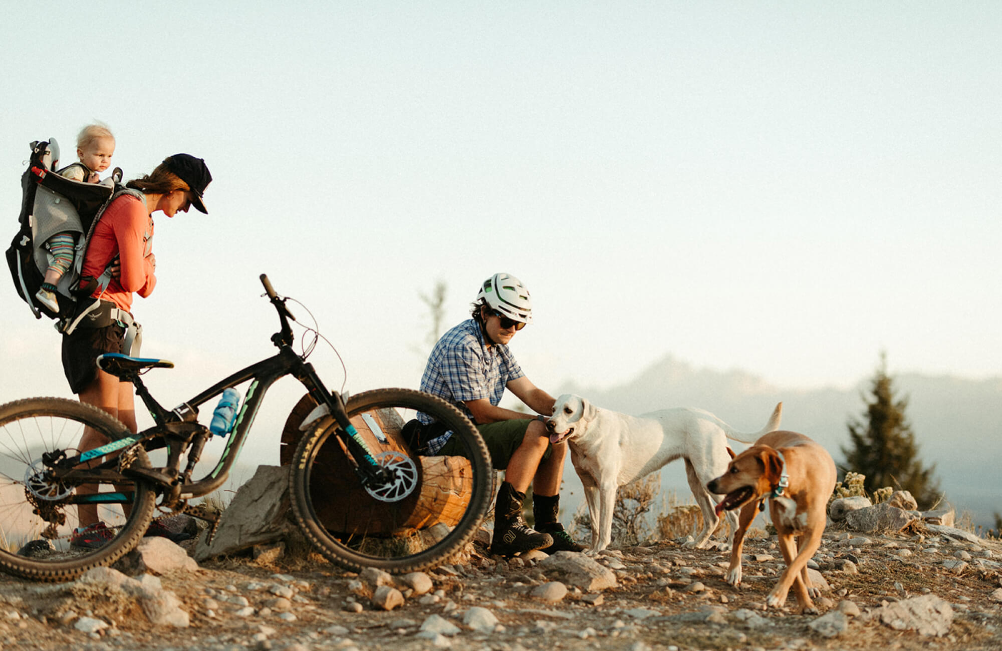 A mountain biker, a mother hiking with her baby, and their dogs enjoy a day outside.