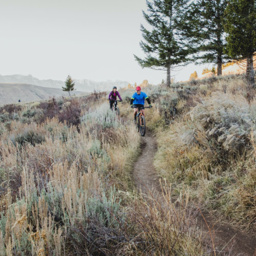 A couple mountain bikes through sagebrush.