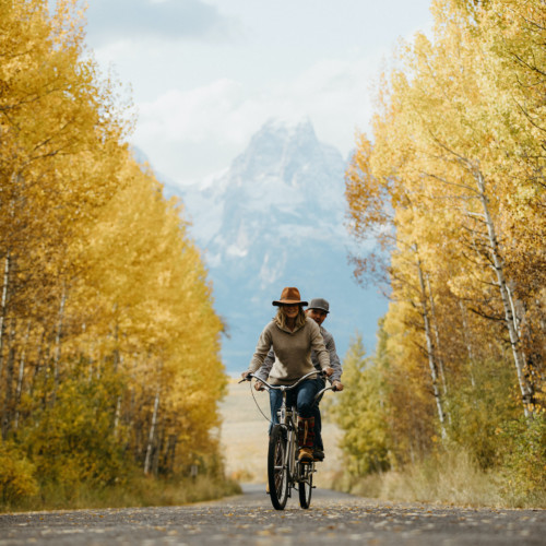 A couple rides a bike past yellow aspen trees on a road in Grand Teton National Park in the fall.