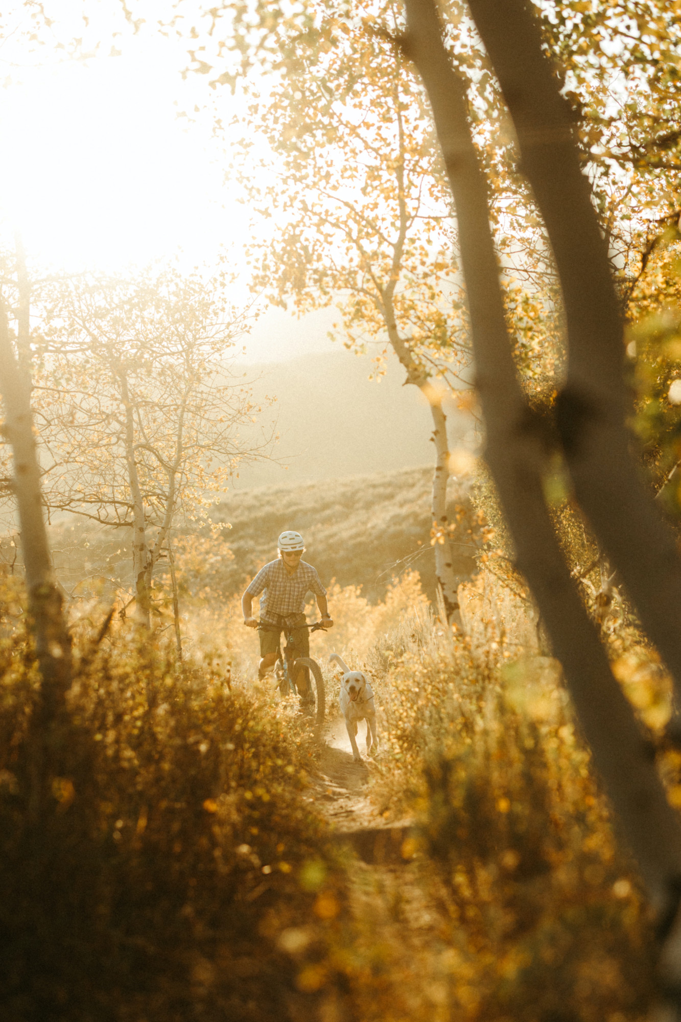 A mountain biker and dog enjoy a golden hour ride.