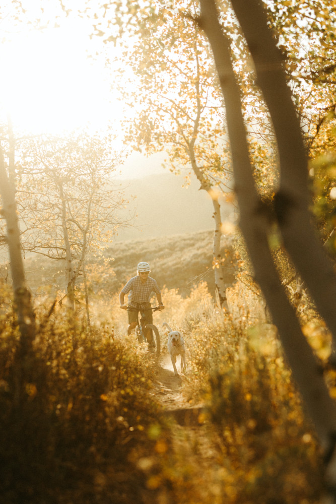 A mountain biker and dog enjoy a golden hour ride.