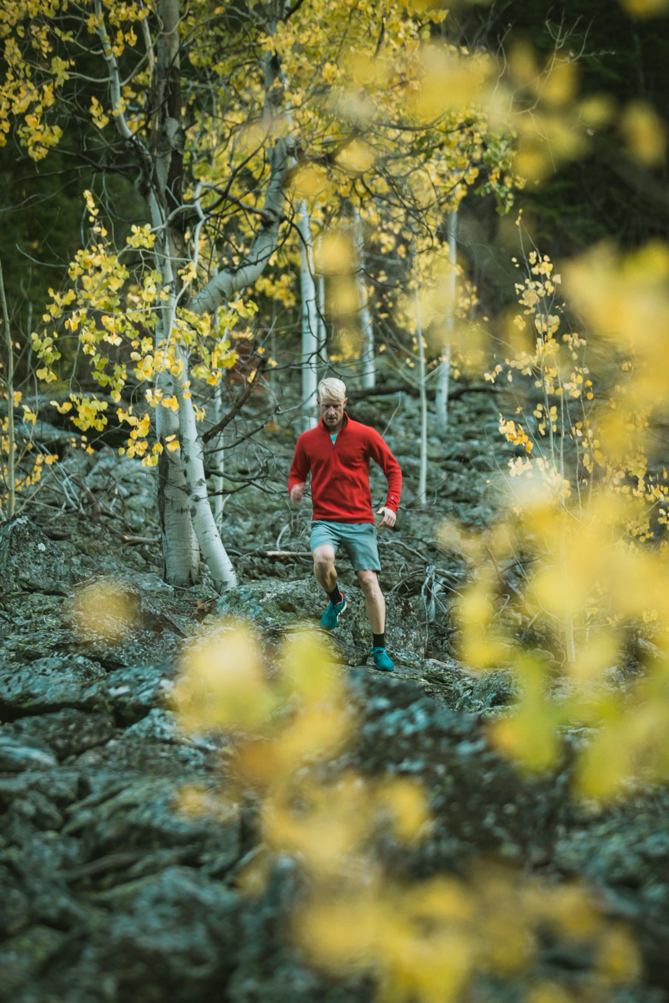 A trail runner runs through Aspen trees during peak fall foliage.