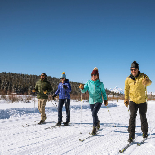 Four nordic skiers classic ski on a sunny day in Grand Teton National Park.