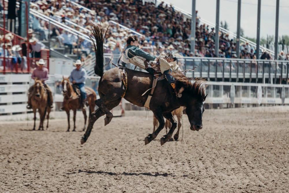 A bull rider at the rodeo.