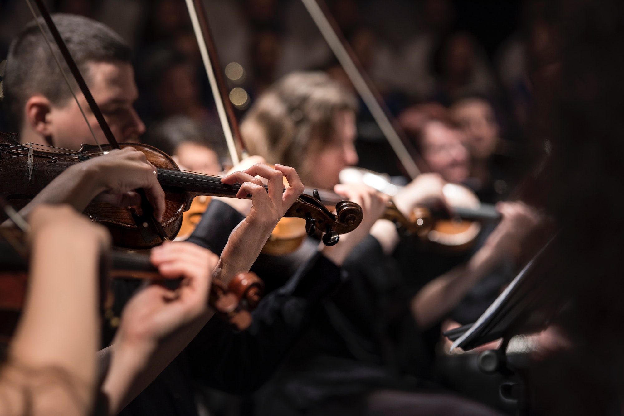 Musicians play the violin at the Grand Teton Music Festival.